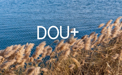 DOU+是什么缩略图